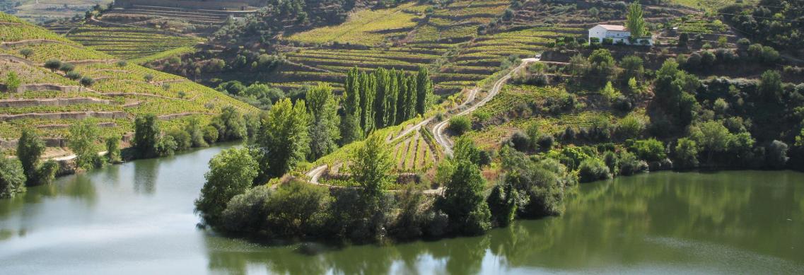 Aan de po(o)rt van de wijnhemel: Douro