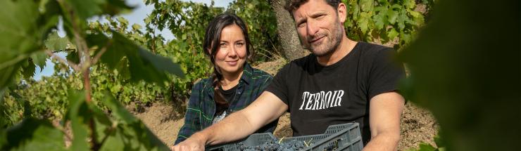 Catalaanse cultwijnen die aan het onmogelijke grenzen