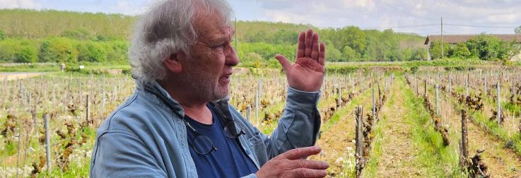 Zeker in 2025 proef je de wijnmakers- kwaliteiten van Jean Marie Guffens!
