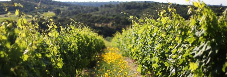 Klaar voor de Paasdagen?