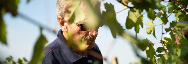 Villa Terlina: Zo indrukwekkend kan barbera zijn!