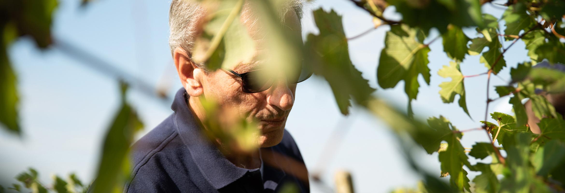 Villa Terlina: Zo indrukwekkend kan barbera zijn!