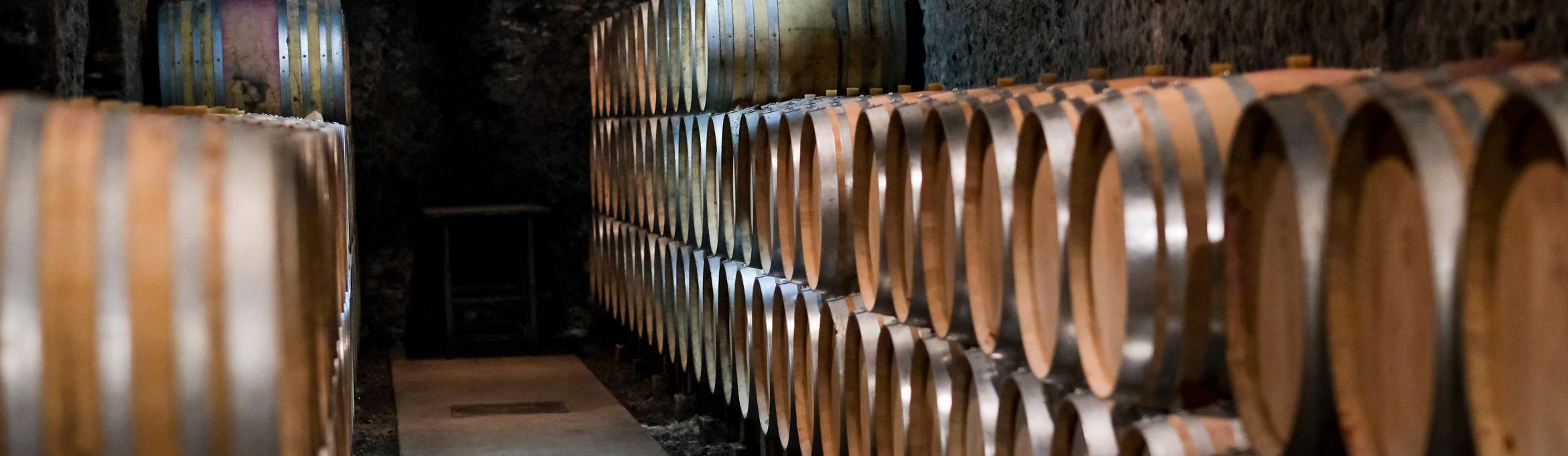 Tollot-Beaut: elke wijn een eigen signatuur