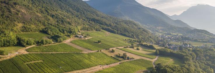 Gebottelde berglucht uit de Savoie: Château Mérande