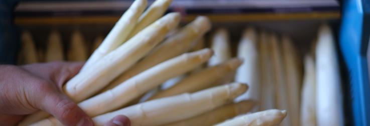 Net binnen: onze favoriete aspergewijn!