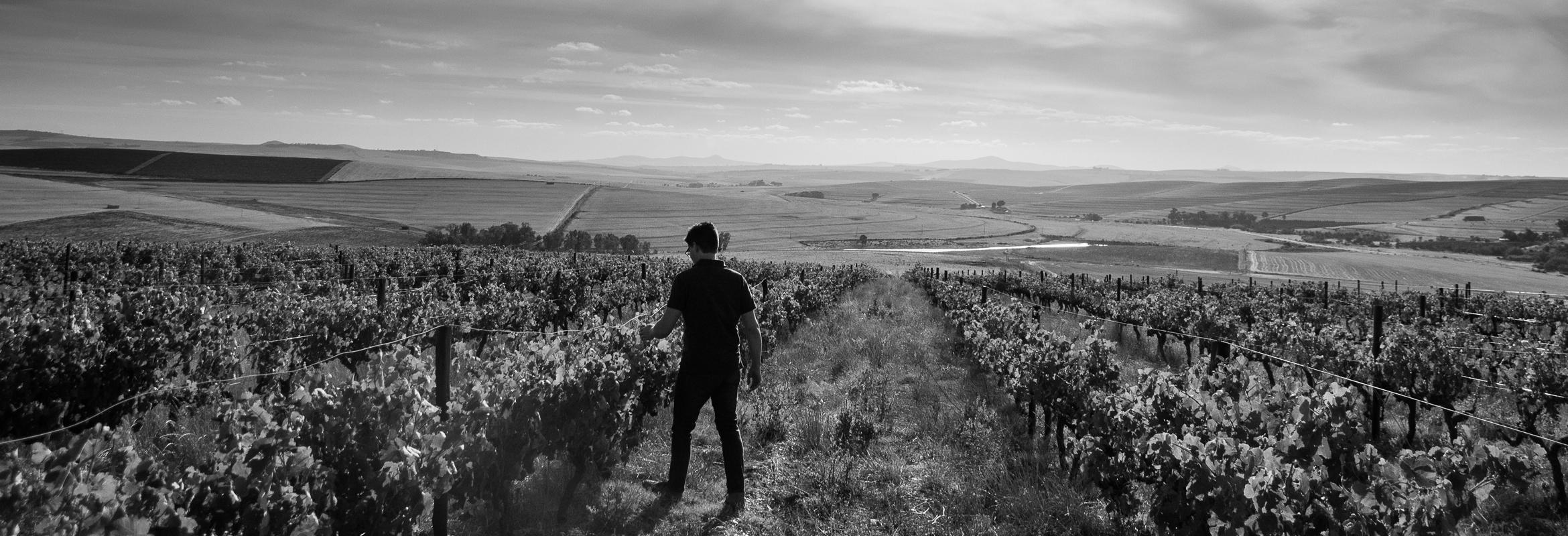 Nieuw domein: City on a Hill