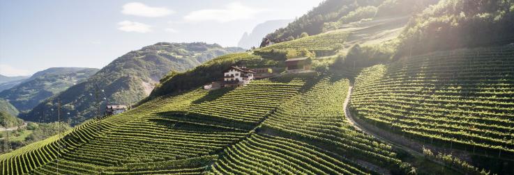 Voorverkoop Italië 2026 - Alto Adige: Intensiteit, spanning en elegantie
