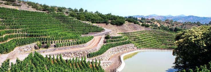 La Gelsomina: De kracht van de Etna