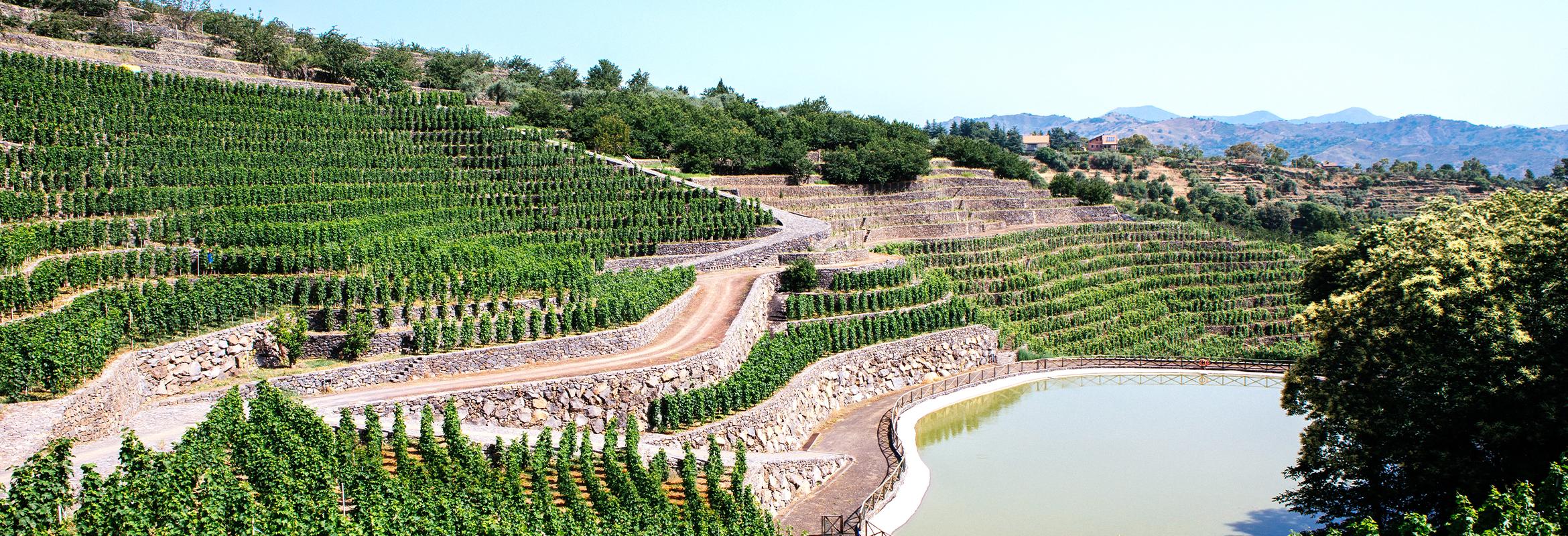 La Gelsomina: De kracht van de Etna