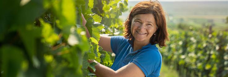 Voorverkoop Oostenrijk: Birgit Braunstein - Het levende landschap van de Leithaberg