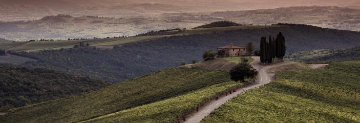 Voorverkoop Italië 2026 - Toscane: De meest adelijke wijnen van Italië