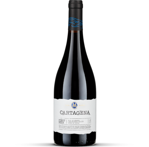 2023 Cartagena Pinot Noir - San Antonio