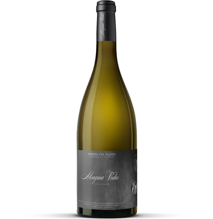 2024 Magna Vides blanco - Ribera del Duero