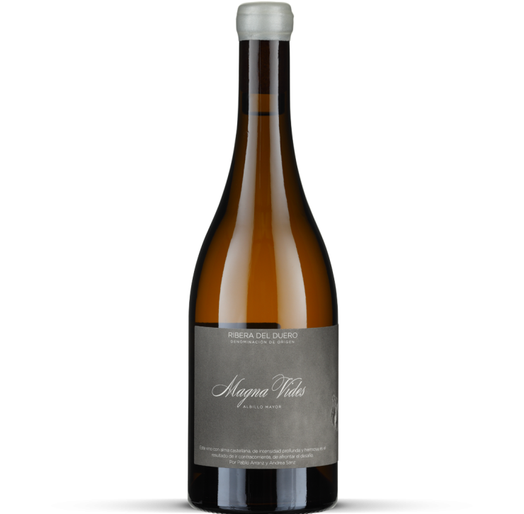 2024 Magna Vides blanco - Ribera del Duero