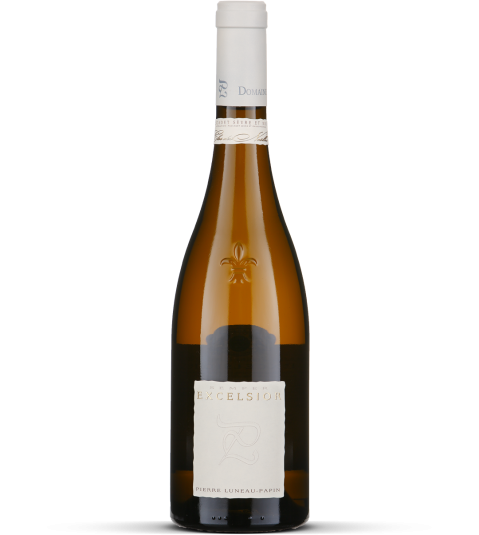 2005 Excelsior - Muscadet Sèvre et Maine Goulaine