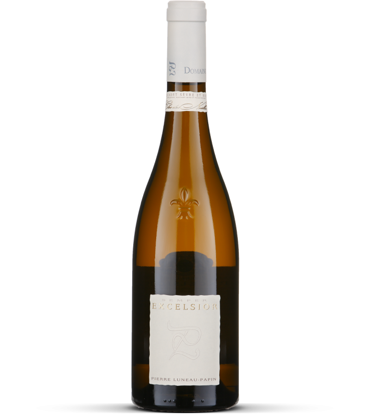 2005 Excelsior - Muscadet Sèvre et Maine Goulaine