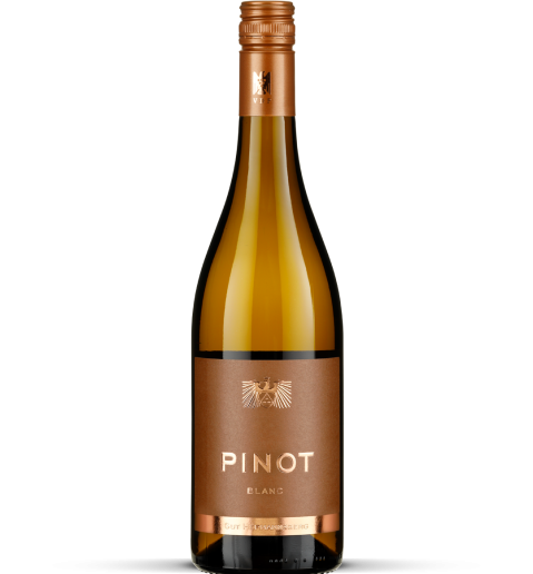 2025 PINOT BLANC trocken - Nahe