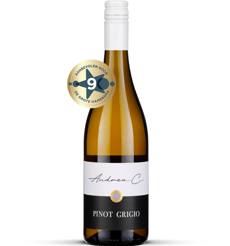 2024 Pinot Grigio - Friuli