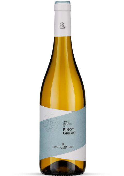 2024 Pinot Grigio - Terre Siciliane