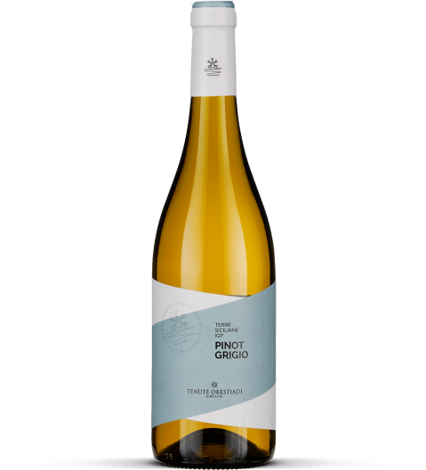 2024 Pinot Grigio - Terre Siciliane