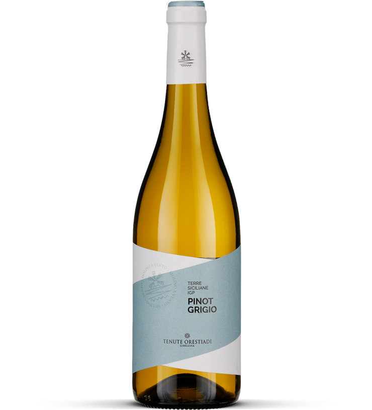 2024 Pinot Grigio - Terre Siciliane