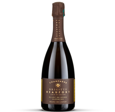2016 Champagne brut Blanc de Noirs