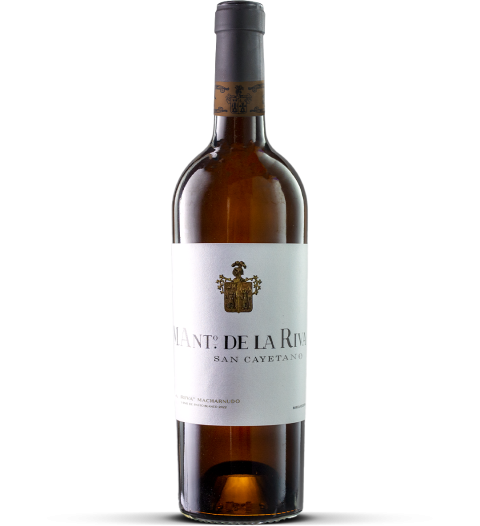 2024 Macharnudo - Vino de Pasto