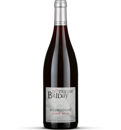 2024 Bourgogne Pinot Noir