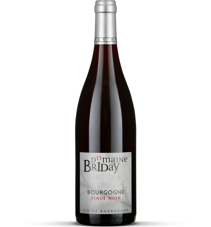 2024 Bourgogne Pinot Noir