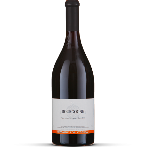 2020 Bourgogne Côte d'Or rouge