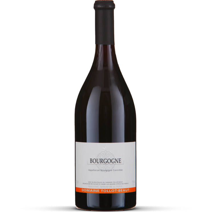 2020 Bourgogne Côte d'Or rouge