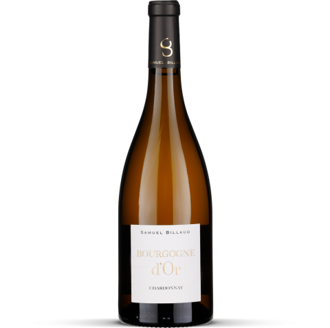 2024 Bourgogne Chardonnay D'Or