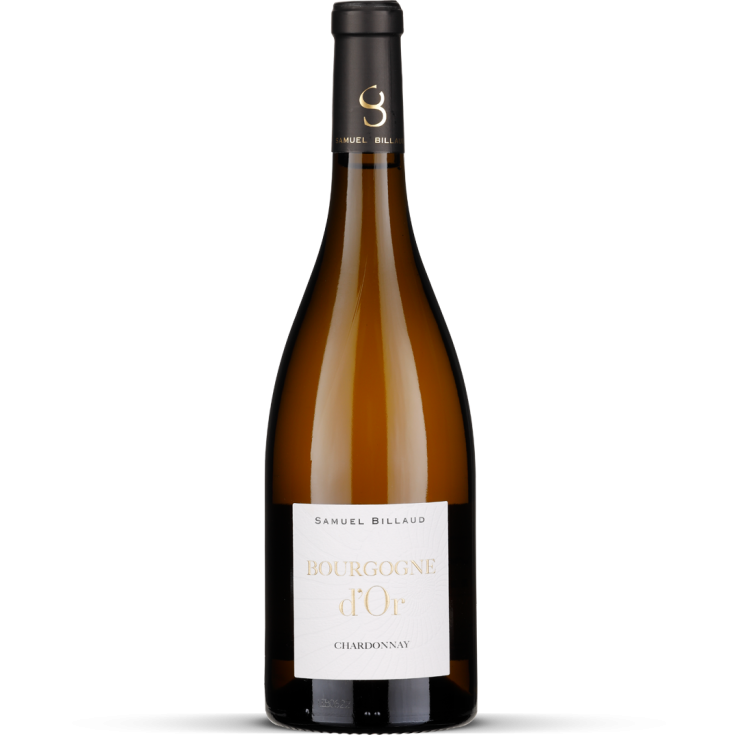 2024 Bourgogne Chardonnay D'Or