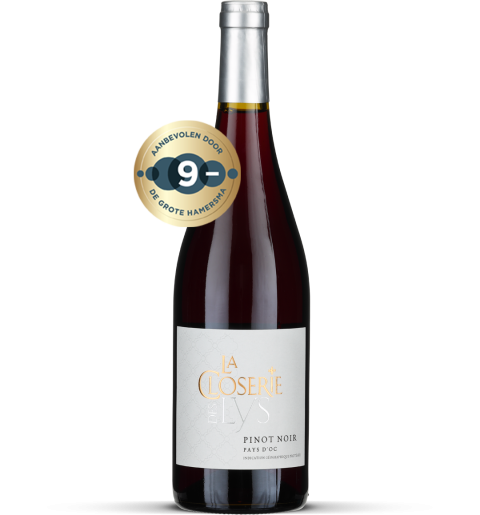 2025 Pinot Noir - Pays d'Oc