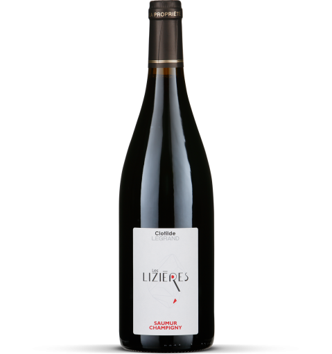 2018 Les Terrages - Saumur-Champigny