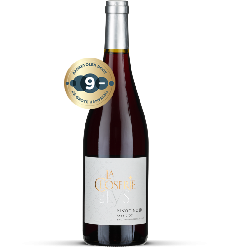 2024 Pinot Noir - Pays d'Oc