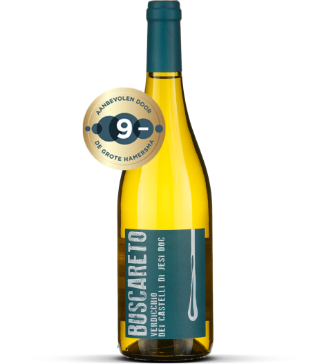 2024 Verdicchio dei Castelli di Jesi