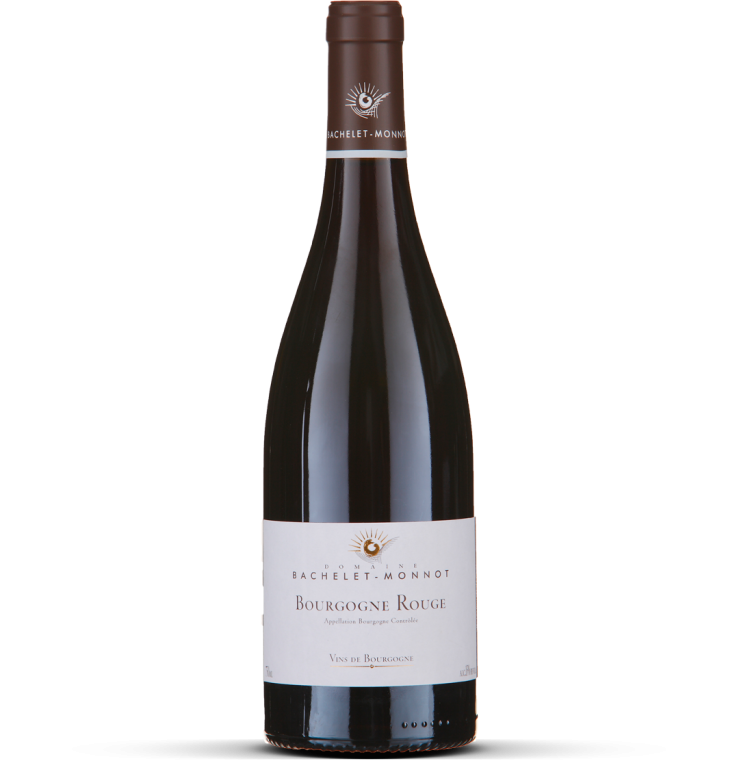 2024 Bourgogne rouge