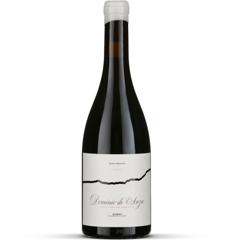 2025 Selección de Parcelas - Bierzo