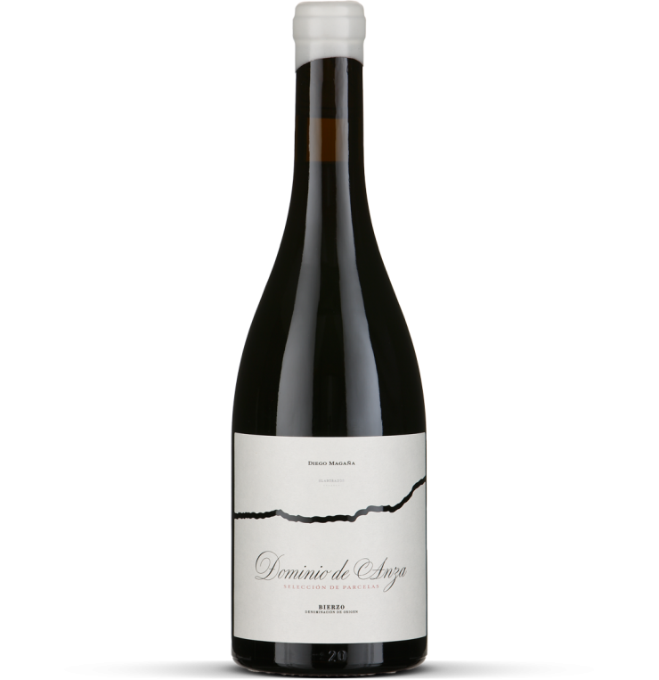 2025 Selección de Parcelas - Bierzo