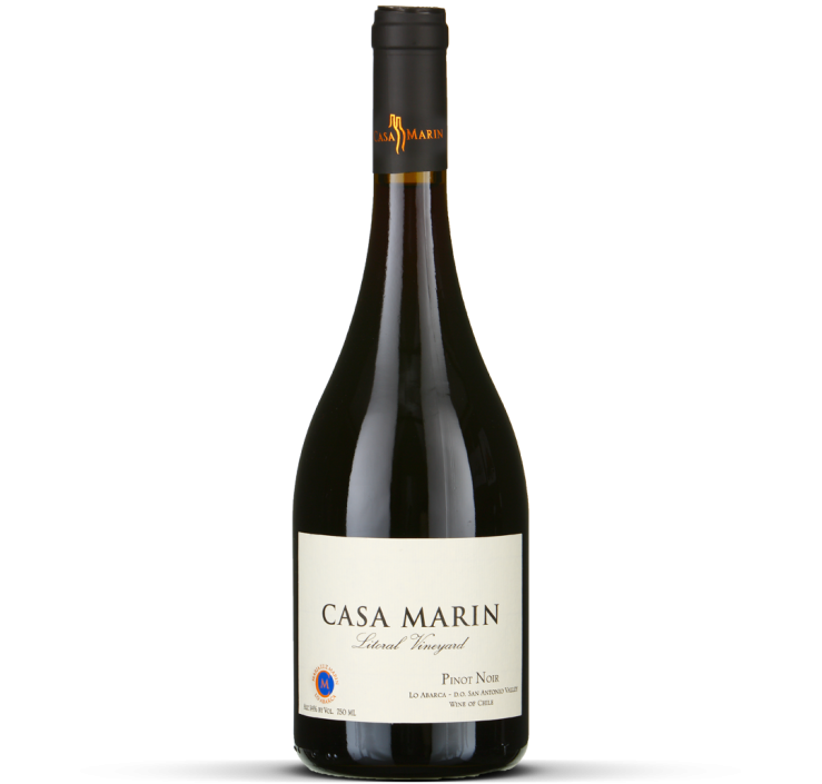 2023 Pinot Noir Viñedo Litoral - San Antonio