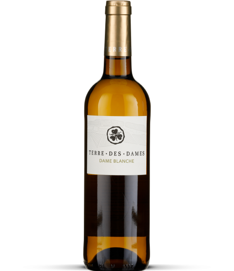 2025 Dame Blanche - Pays d'Oc