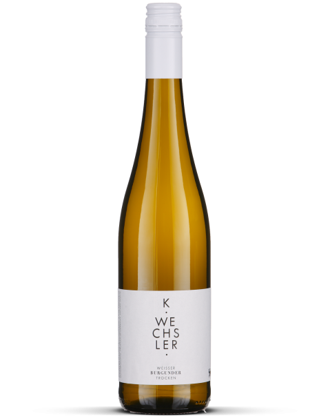 2025 Weißer Burgunder trocken - Rheinhessen