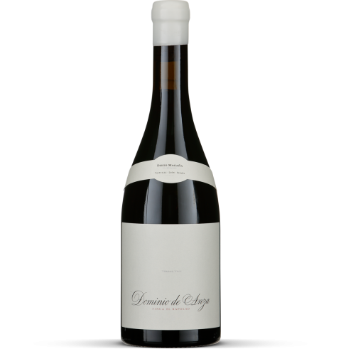 2025 Finca el Rapolao - Bierzo