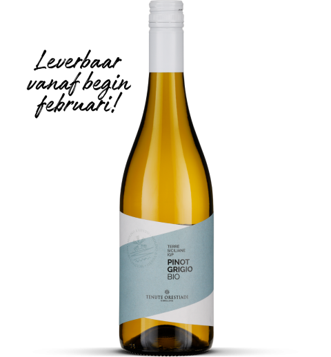 2024 Pinot Grigio bio - Terre Siciliane