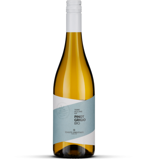 2024 Pinot Grigio bio - Terre Siciliane