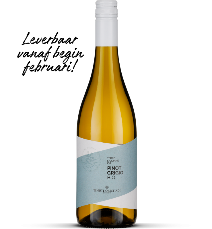 2024 Pinot Grigio bio - Terre Siciliane