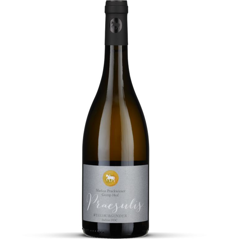 2024 Weissburgunder Praesulis - Südtirol