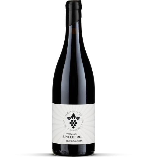 2023 Spielberg spätburgunder - Pfalz