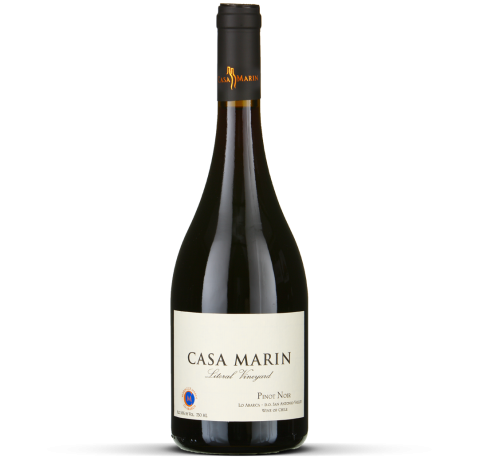 2024 Pinot Noir Viñedo Litoral - San Antonio